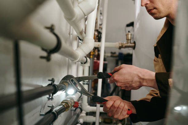 Best Local Plumber Services  in Lomira, WI