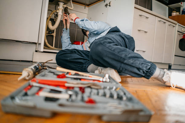 Best Affordable Plumbing Services  in Lomira, WI