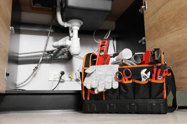Best Toilet Repair Services  in Lomira, WI