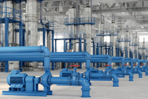 Best Plumbing Inspection Services  in Lomira, WI