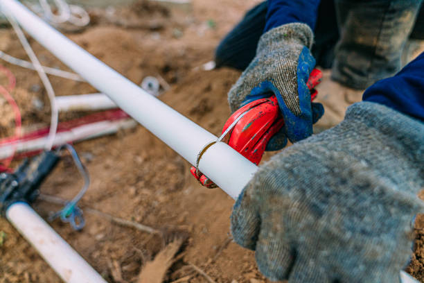 Best Drain Cleaning Services  in Lomira, WI