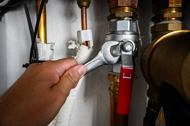 Best Clogged Drain Plumber  in Lomira, WI